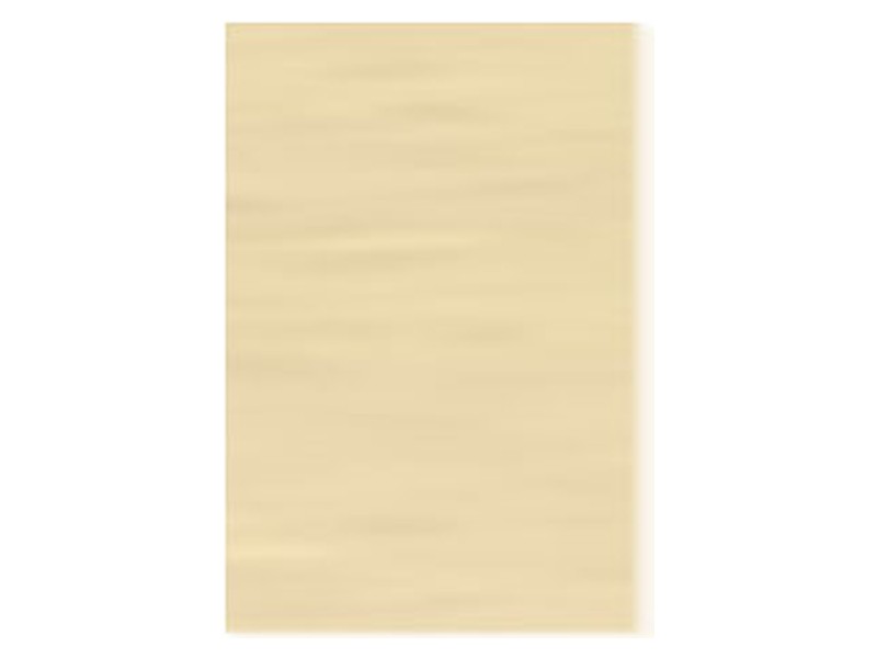 Vascugenx - Vascular Patch